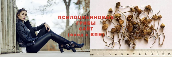 не бодяженный Баксан