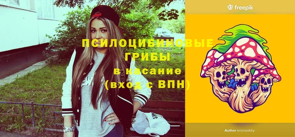 винт Армянск