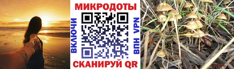 Псилоцибиновые грибы MAGIC MUSHROOMS  Лосино-Петровский 