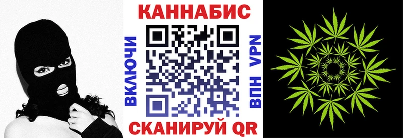 где купить наркоту  Лосино-Петровский  Каннабис SATIVA & INDICA 